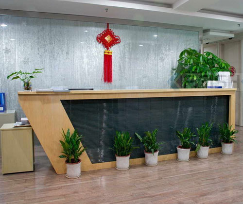 某某公司绿植租摆